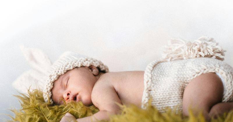 Unsplash/Gigin Krishnan